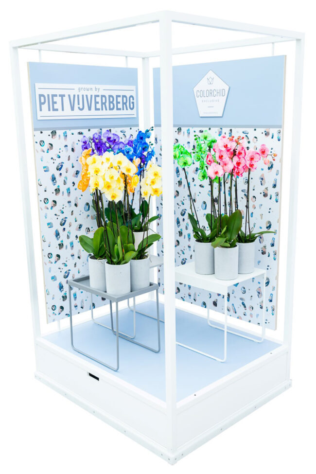 Colorchid-Trendy-Terrazo-stijl