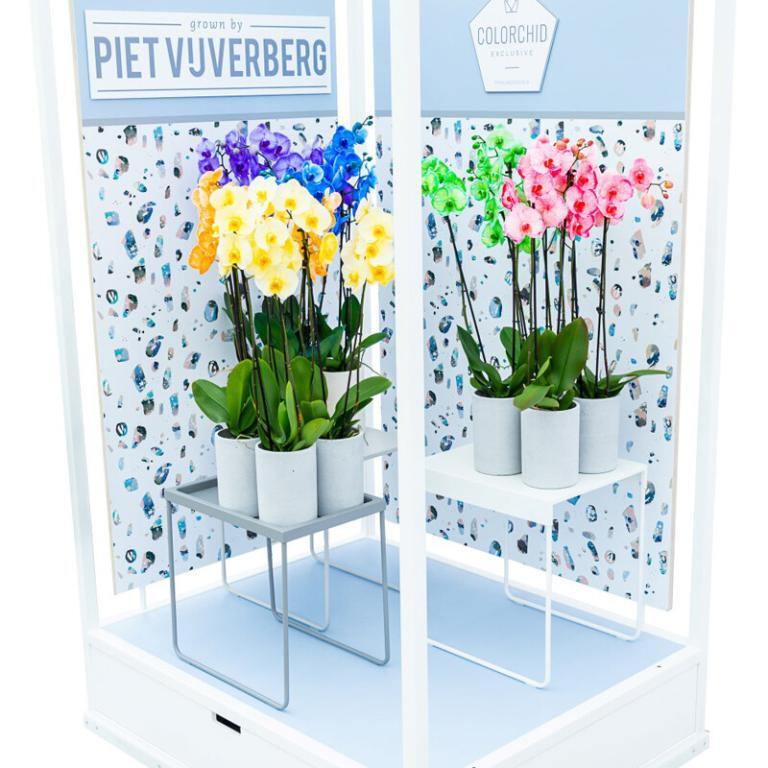 Colorchid-Trendy-Terrazo-stijl Colorchid-Trendy-Terrazo-stijl