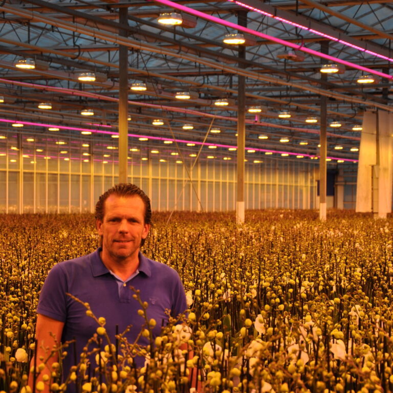 2019-10-04, LED verlichting en Sander Vijverberg (6)
