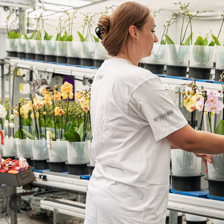 Allround-medewerker