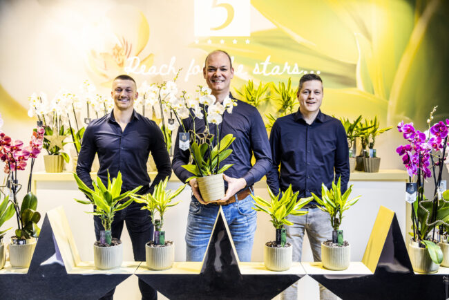 Stand Rijswijk