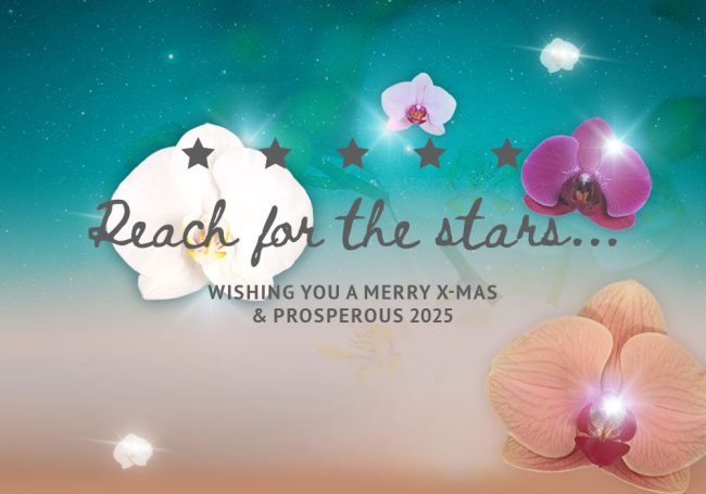 kerst-2024
