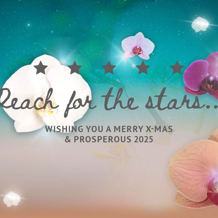 kerst-2024