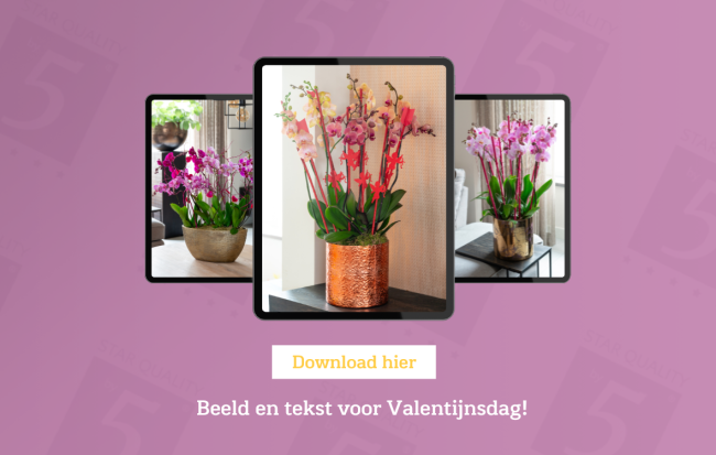 Persmapje