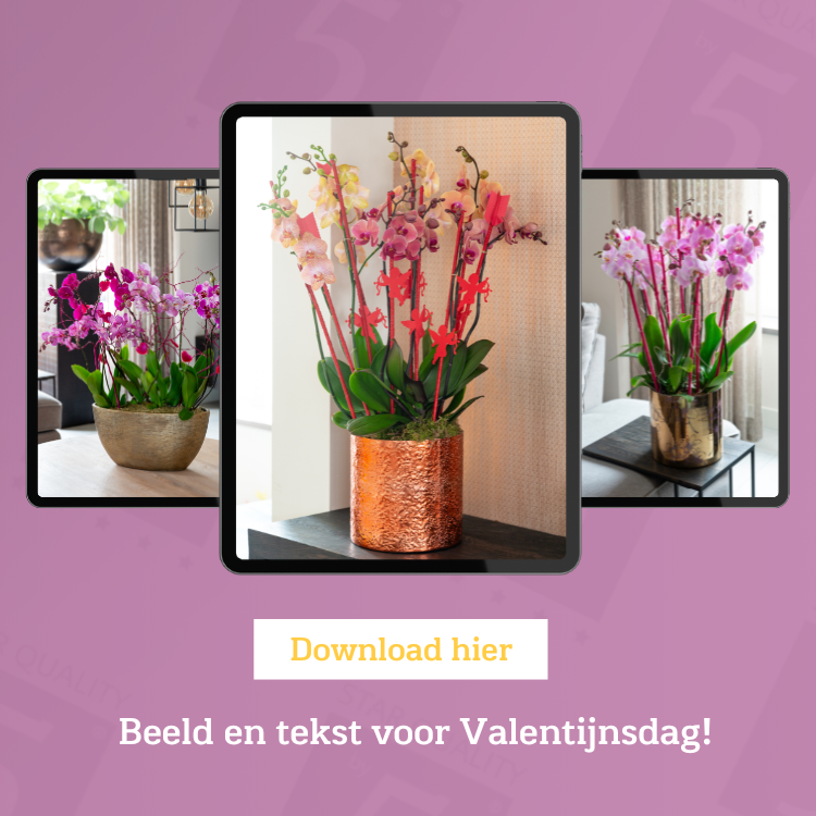 Persmapje
