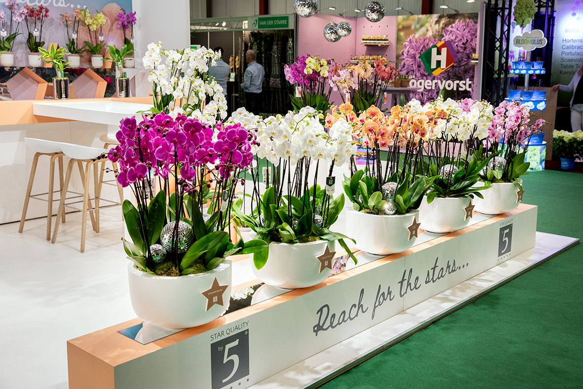 5105.08.24-SAN-Fotografie-Trade-Fair-015-WEB