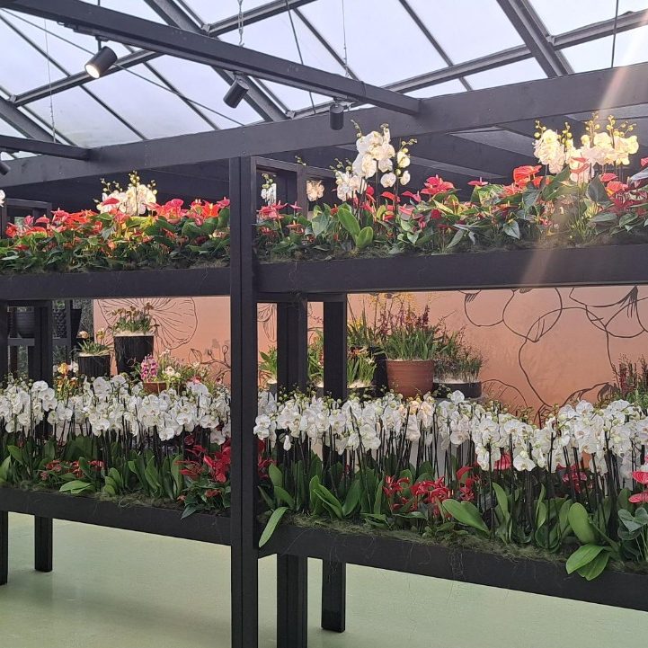 keukenhof