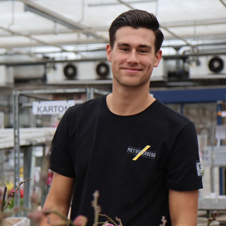website foto finn