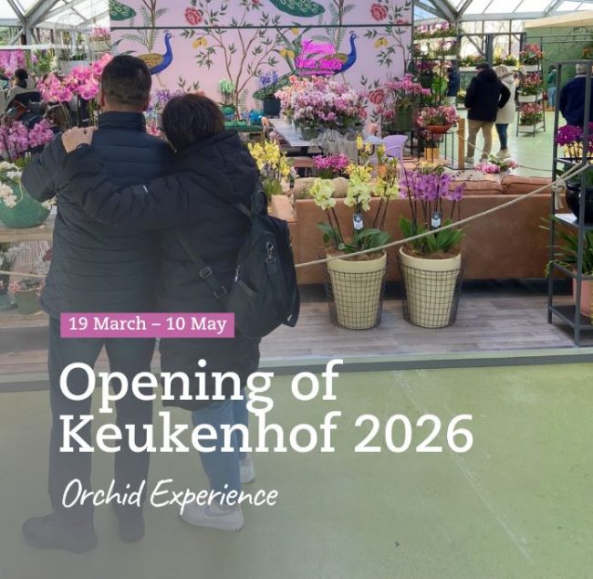 keukenhof