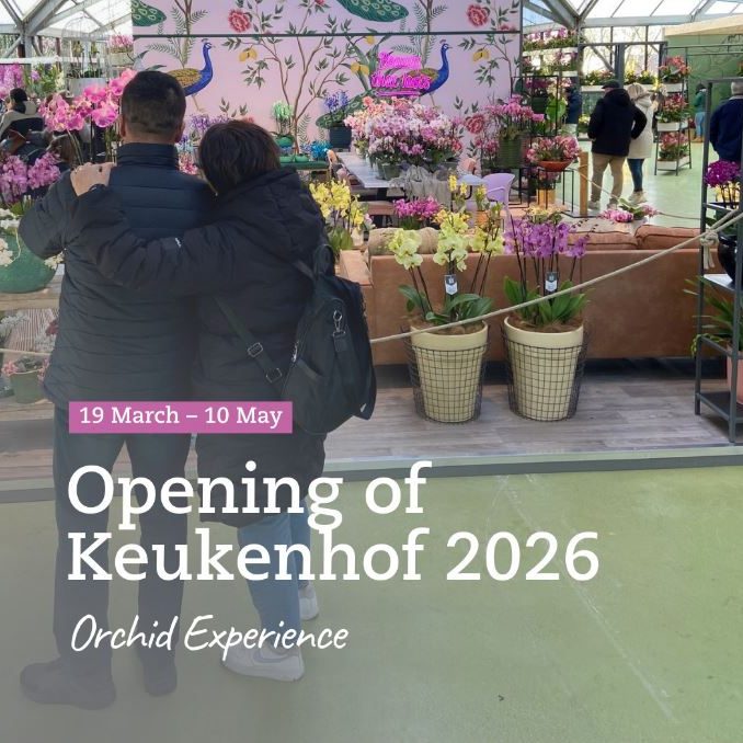 keukenhof